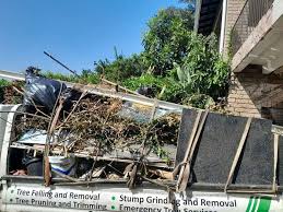 Best Dumpster Rental Services  in Minneola, FL